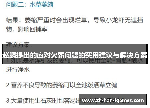 赵鹏提出的应对欠薪问题的实用建议与解决方案